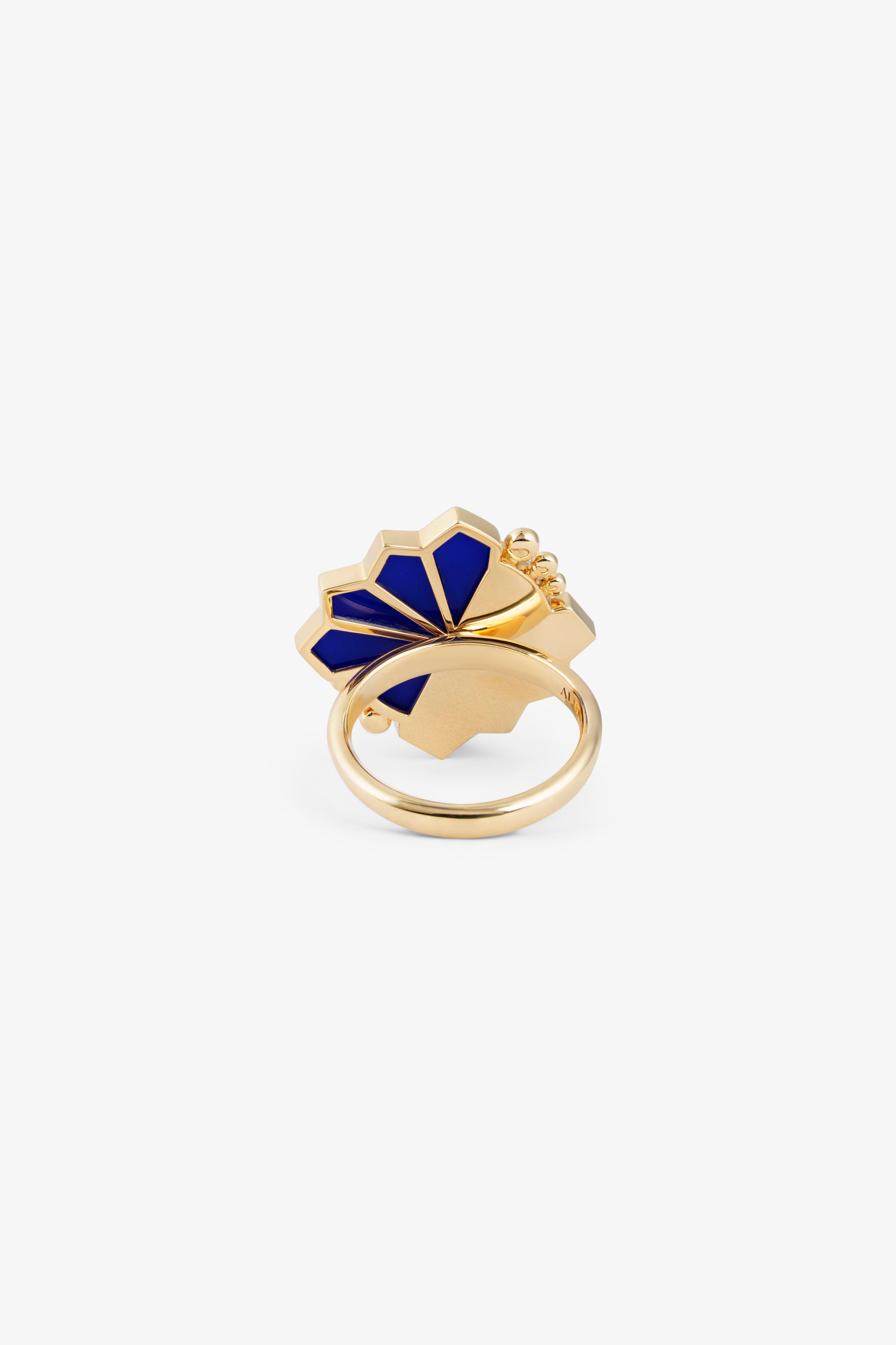 Fan Ring
