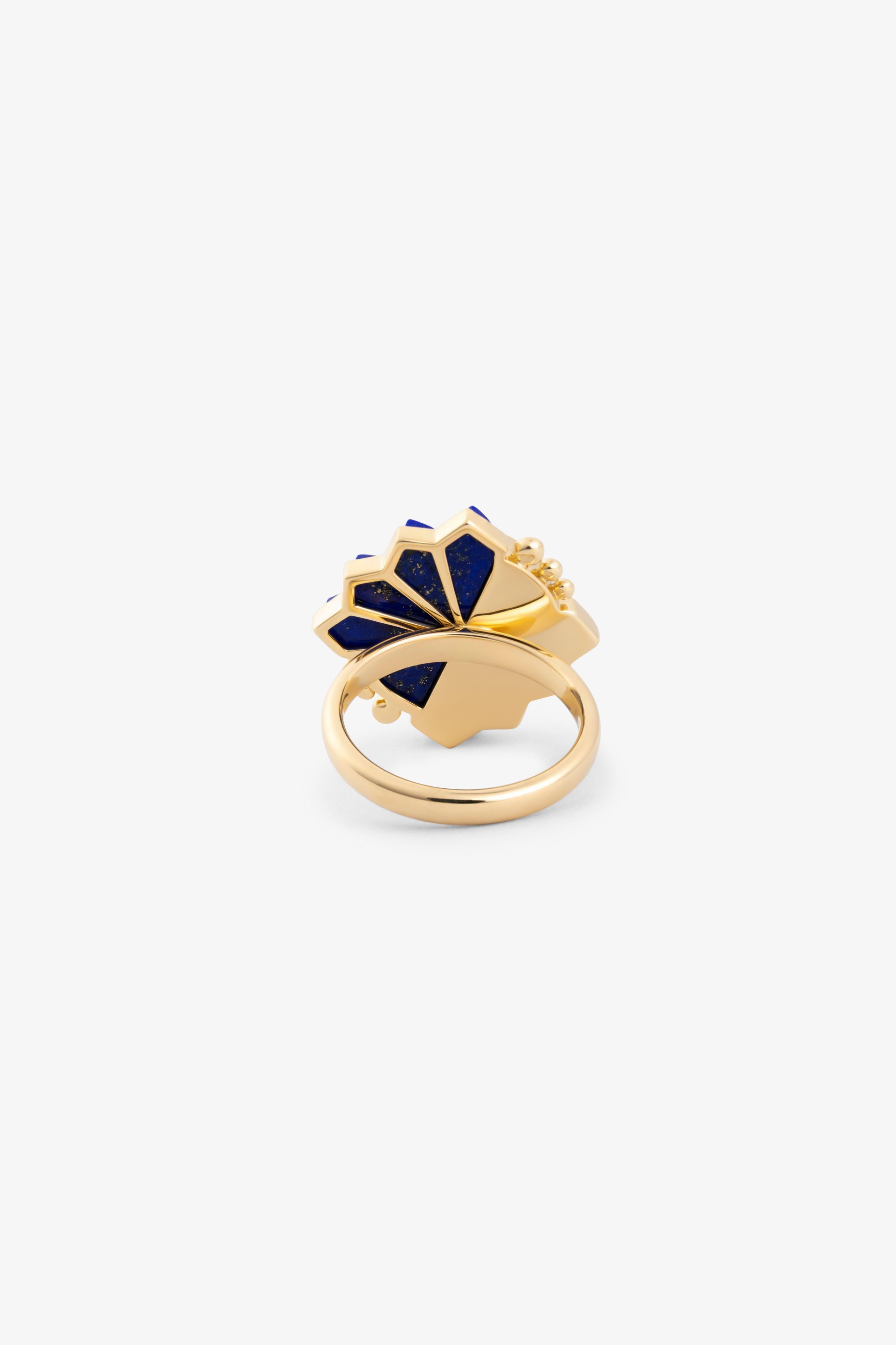 Fan Ring